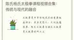 陈氏杨氏太极拳课程视频合集：传统与现代的融合