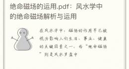 绝命磁场的运用.pdf：风水学中的绝命磁场解析与运用