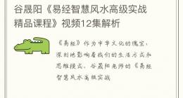 谷晟阳《易经智慧风水高级实战精品课程》视频12集解析