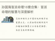 孙国海盲派命理16套合集：盲派命理的智慧与深度解析