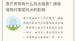客厅养狗有什么风水隐患？揭秘宠物对家居风水的影响