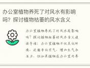 办公室植物养死了对风水有影响吗？探讨植物枯萎的风水含义