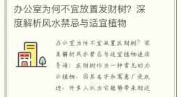 办公室为何不宜放置发财树？深度解析风水禁忌与适宜植物