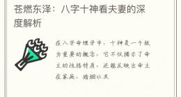 苍燃东泽：八字十神看夫妻的深度解析