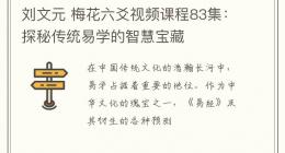 刘文元 梅花六爻视频课程83集：探秘传统易学的智慧宝藏