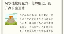 风水植物的魔力：化煞解运，提升办公室运势