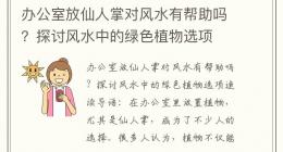 办公室放仙人掌对风水有帮助吗？探讨风水中的绿色植物选项