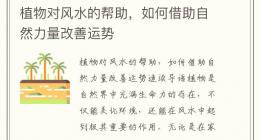 植物对风水的帮助，如何借助自然力量改善运势