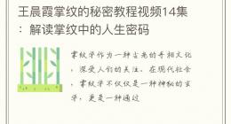 王晨霞掌纹的秘密教程视频14集：解读掌纹中的人生密码