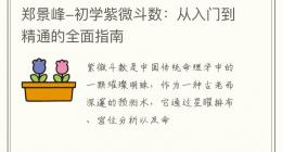 郑景峰-初学紫微斗数：从入门到精通的全面指南
