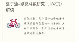 潘子渔-紫微斗数研究（182页）解读