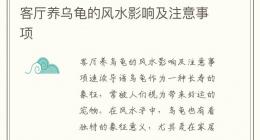 客厅养乌龟的风水影响及注意事项