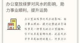 办公室放绿萝对风水的影响，助力事业顺利，提升运势