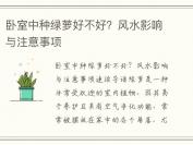 卧室中种绿萝好不好？风水影响与注意事项