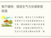 客厅植物：增添生气与协调家居氛围