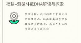 福耕-紫微斗数DNA解读与探索