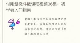 付刚紫微斗数课程视频36集：初学者入门指南