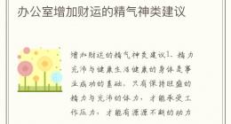 办公室增加财运的精气神类建议