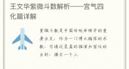 王文华紫微斗数解析——宫气四化篇详解