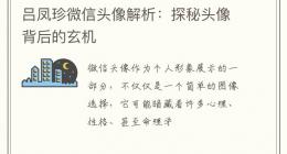 吕凤珍微信头像解析：探秘头像背后的玄机