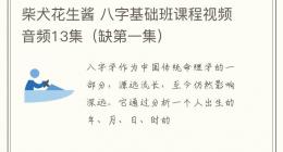 柴犬花生酱 八字基础班课程视频音频13集（缺第一集）